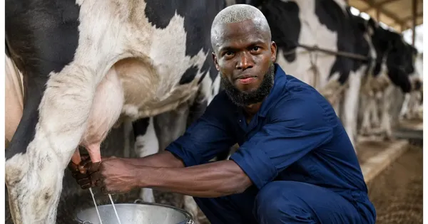 Enner Valencia ordeñando