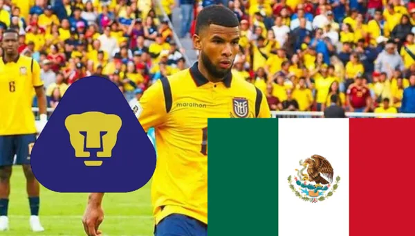 Pedro Vite, Pumas y México