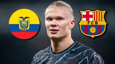 Erling Haaland / Foto: Transfermarkt