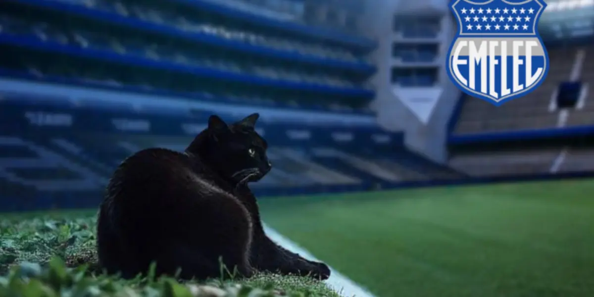 El nombre que Emelec puso al gato negro que adoptó, tras decir que les dio suerte para ganar